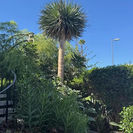 Sea View * Плайя-дель-Інглес