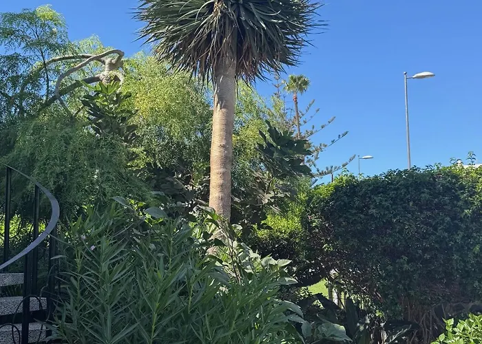 Sea View * Playa del Ingles (Gran Canaria)
